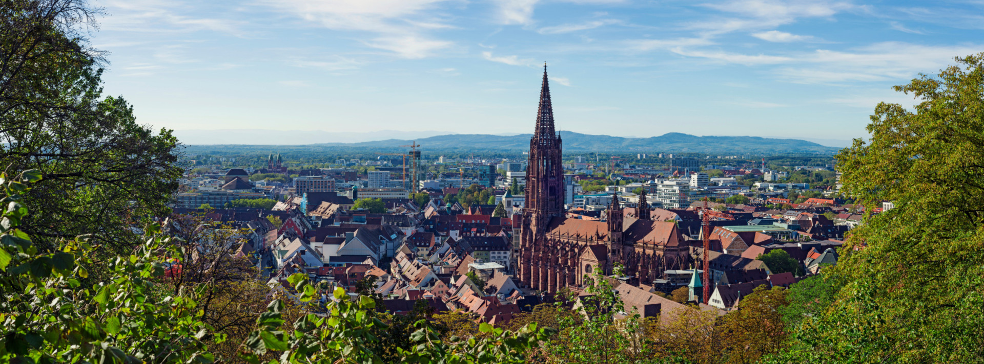 Bild vom Blick auf Freiburg & die Kirche
