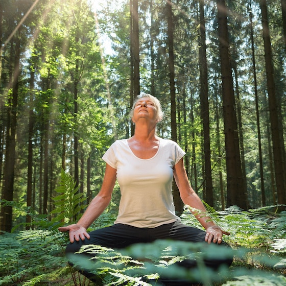 Frau macht Yoga im Wald Yoga im Wald