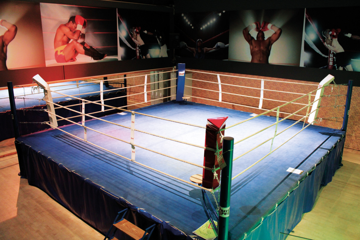 PUNCH Fitness Boxring